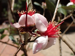 PB010633a.jpg